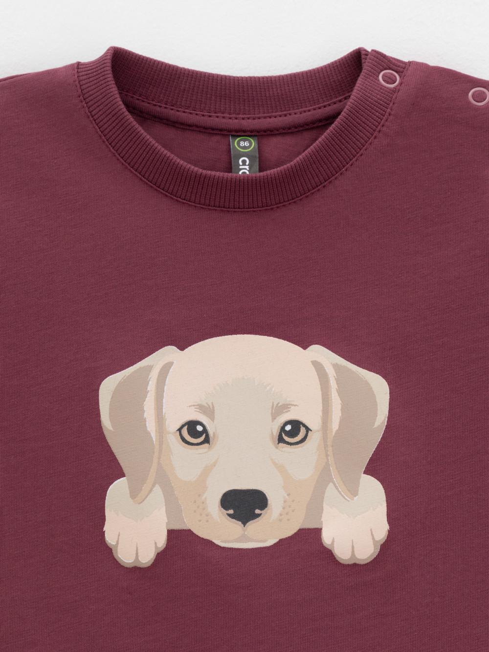 Футболка для мальчика, артикул: КР 302907, цвет: коричневый, фото 2