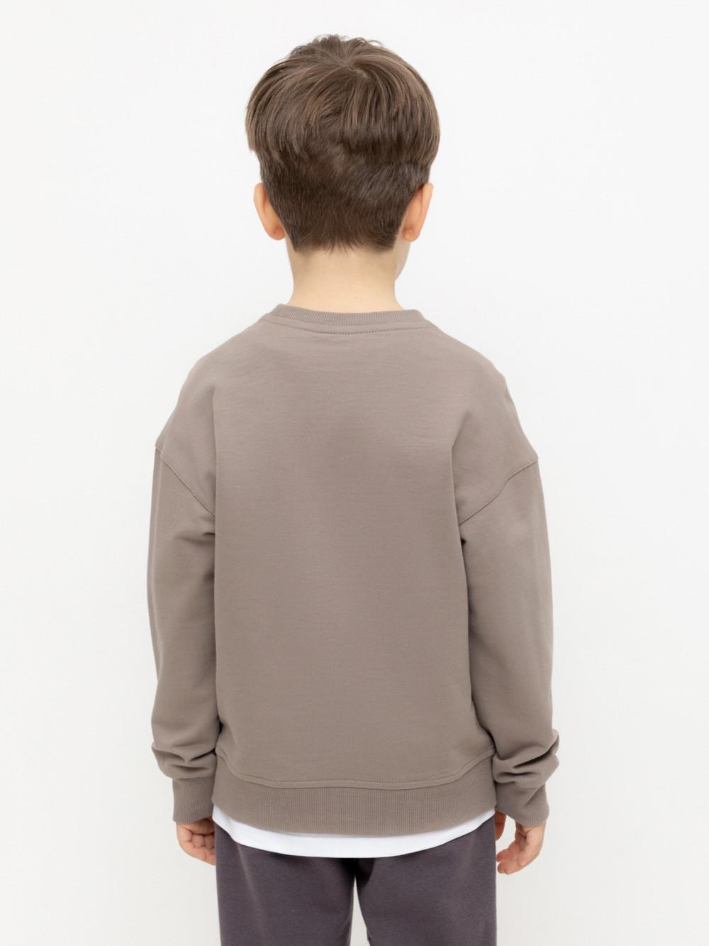 Свитшоты для мальчика, артикул: КР 302392, цвет: коричневый, фото 4