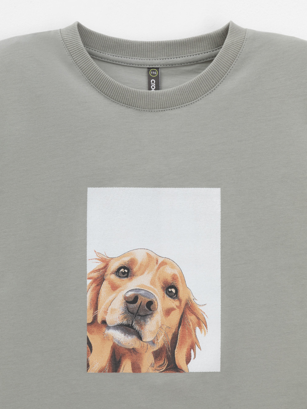 Футболка для мальчика, артикул: КР 302915, цвет: хаки, фото 6