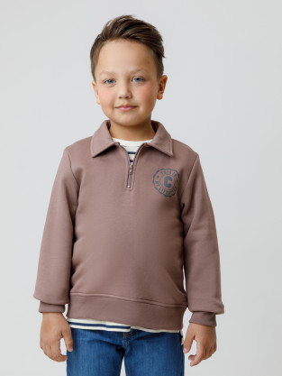 Свитшоты для мальчика, артикул: КР 302798, цвет: коричневый