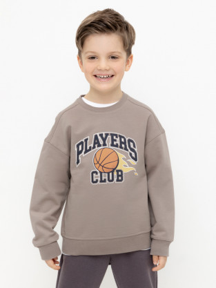 Свитшоты для мальчика, артикул: КР 302392, цвет: коричневый