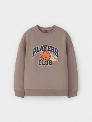 Свитшоты для мальчика, артикул: КР 302392-1, цвет: коричневый