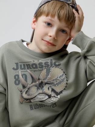 Свитшоты для мальчика, артикул: КР 302843, цвет: хаки
