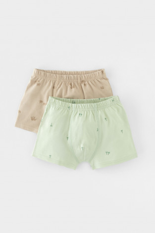 Трусы для мальчика, артикул: К 1930-2уп, цвет: голубой