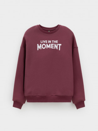 Свитшоты для мальчика, артикул: КР 302802, цвет: коричневый - 2 фото