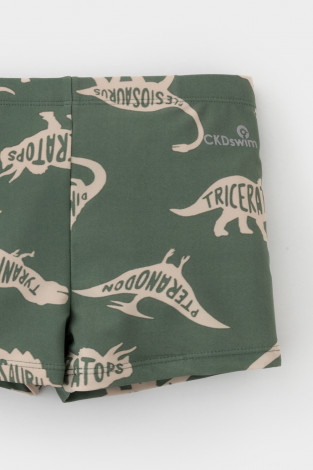 Плавки для мальчика, артикул: ТК 19002/22н ФВ, цвет: зеленый - 2 фото