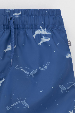 Плавки для мальчика, артикул: ТК 19012/4н ФВ, цвет: синий - 2 фото