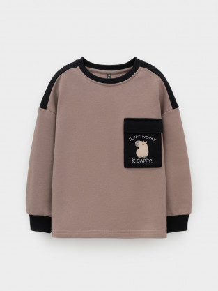Свитшоты для мальчика, артикул: КР 302772, цвет: бежевый - 2 фото