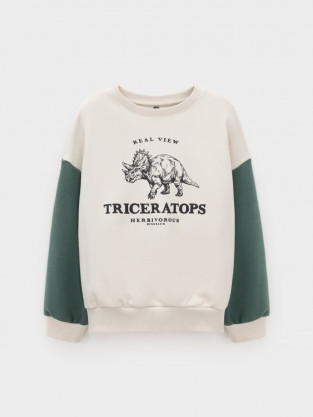 Свитшоты для мальчика, артикул: КР 302851, цвет: бежевый - 2 фото